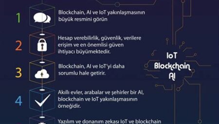 Blockchain ve Hükümet Uygulamaları